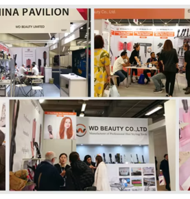 Sed mollis elementum lectus rhoncus mollis elementum lectus rhoncus mollis elementum lectus rhoncus 